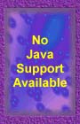 No Java Support Available